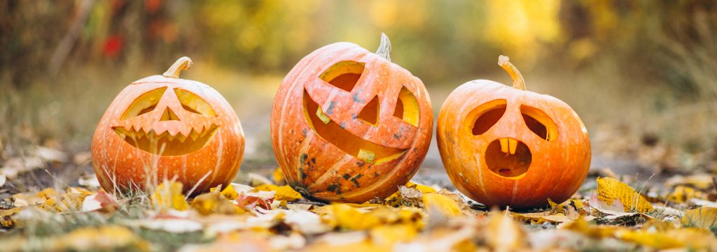 three cute halloween pumpkins autumn park x