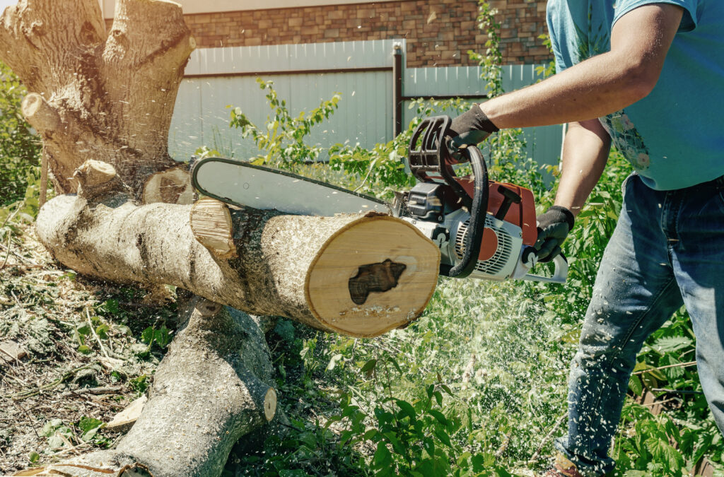 male worker cuts wood with electric chainsaw x