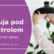 blog x   T. x
